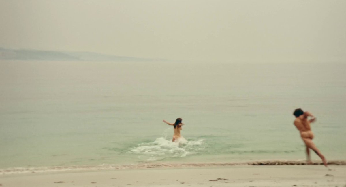 Ale Piña tweet media