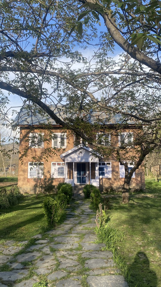 monadarling_ tweet media