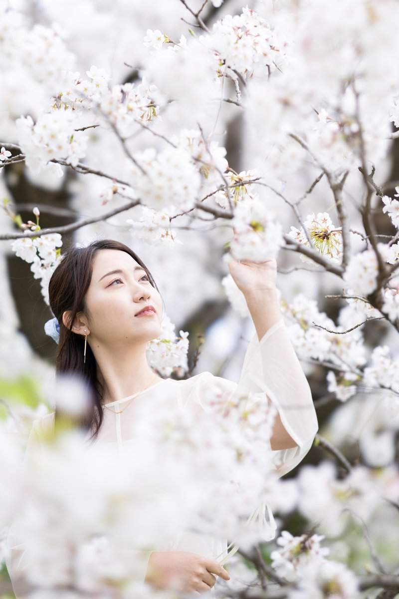 LOOP999K's tweet image. 桜色

MODEL:あみ
@ami_eins0911 
@Einsphoto 
#Eins 撮影会