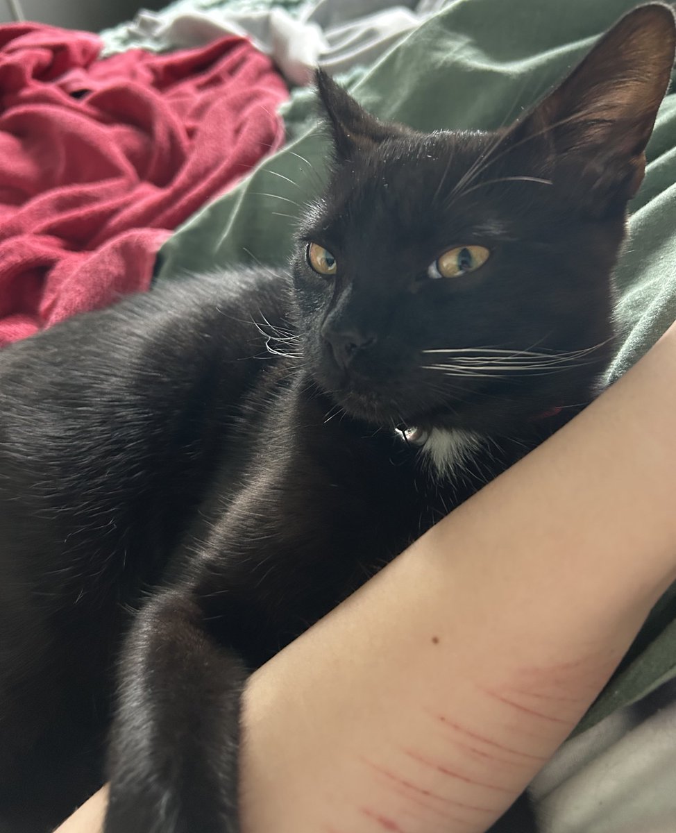 ꒰ঌ brooke ໒꒱ tweet media