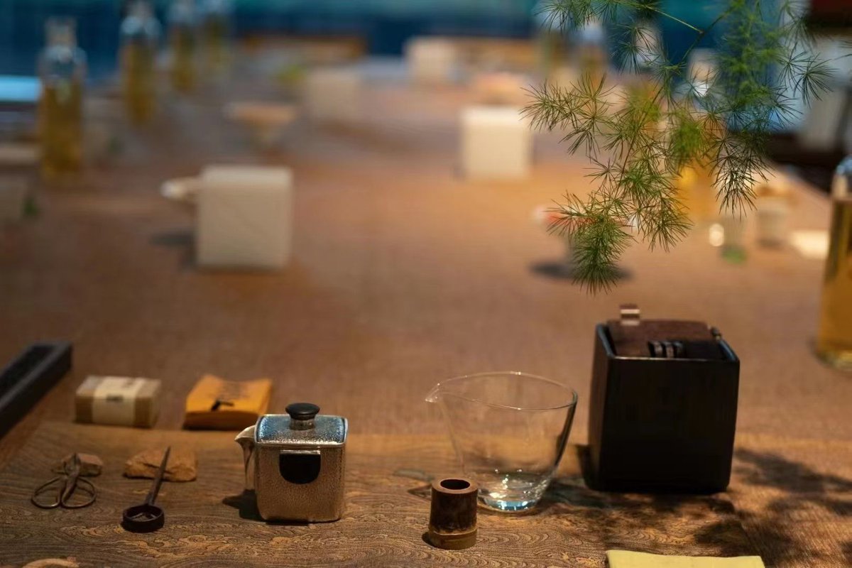 Shanna Petrocelli tweet media