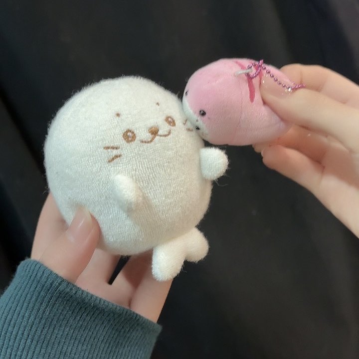 天翔ゆい🍜🔋 tweet media