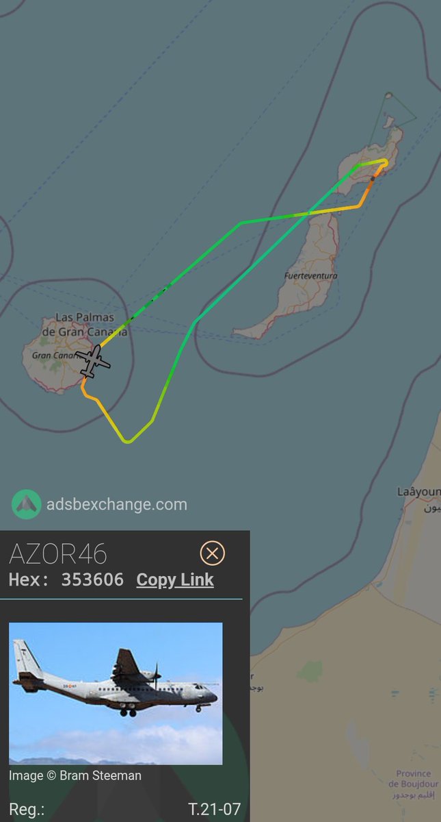 SpainMilRadar tweet media