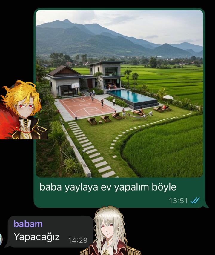 limbus turko tweet media