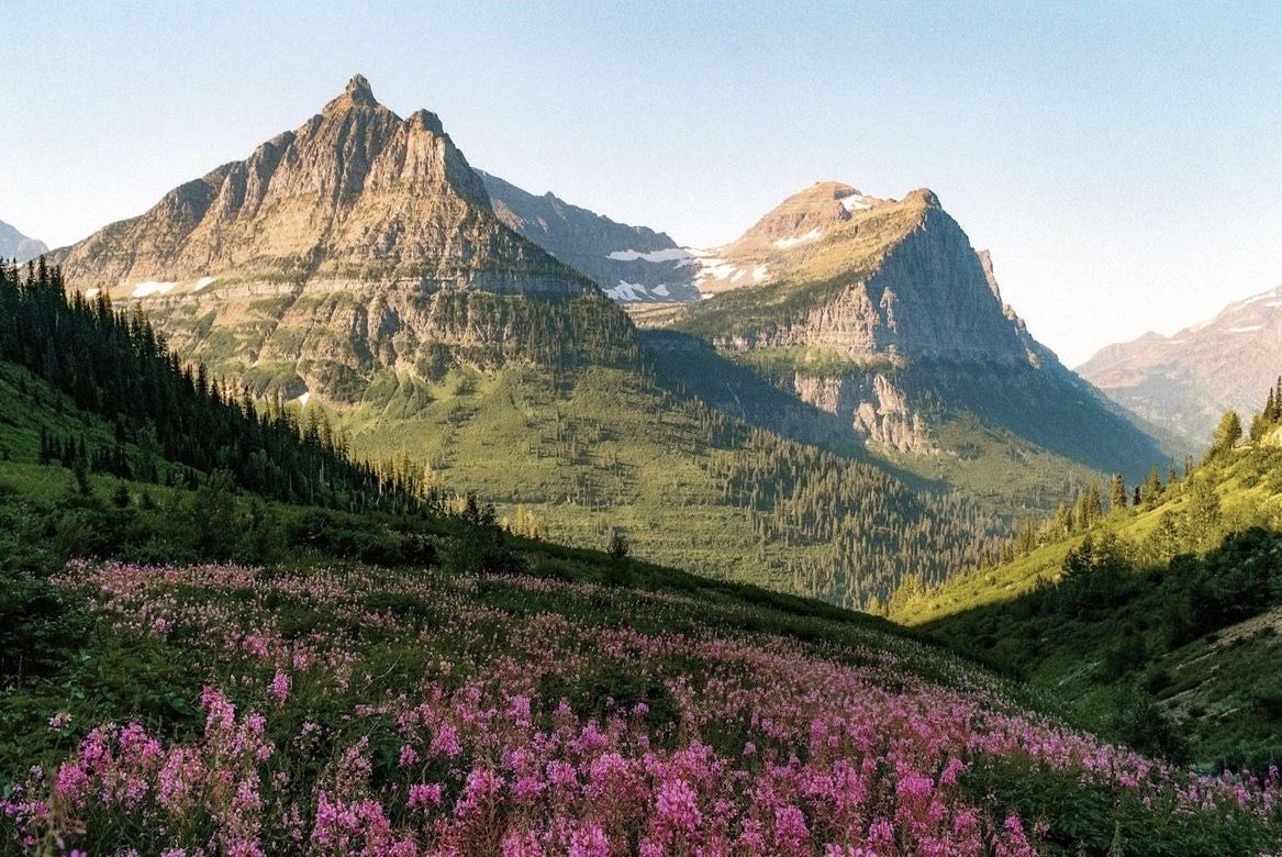 𝙈𝙖𝙧𝙮 tweet media