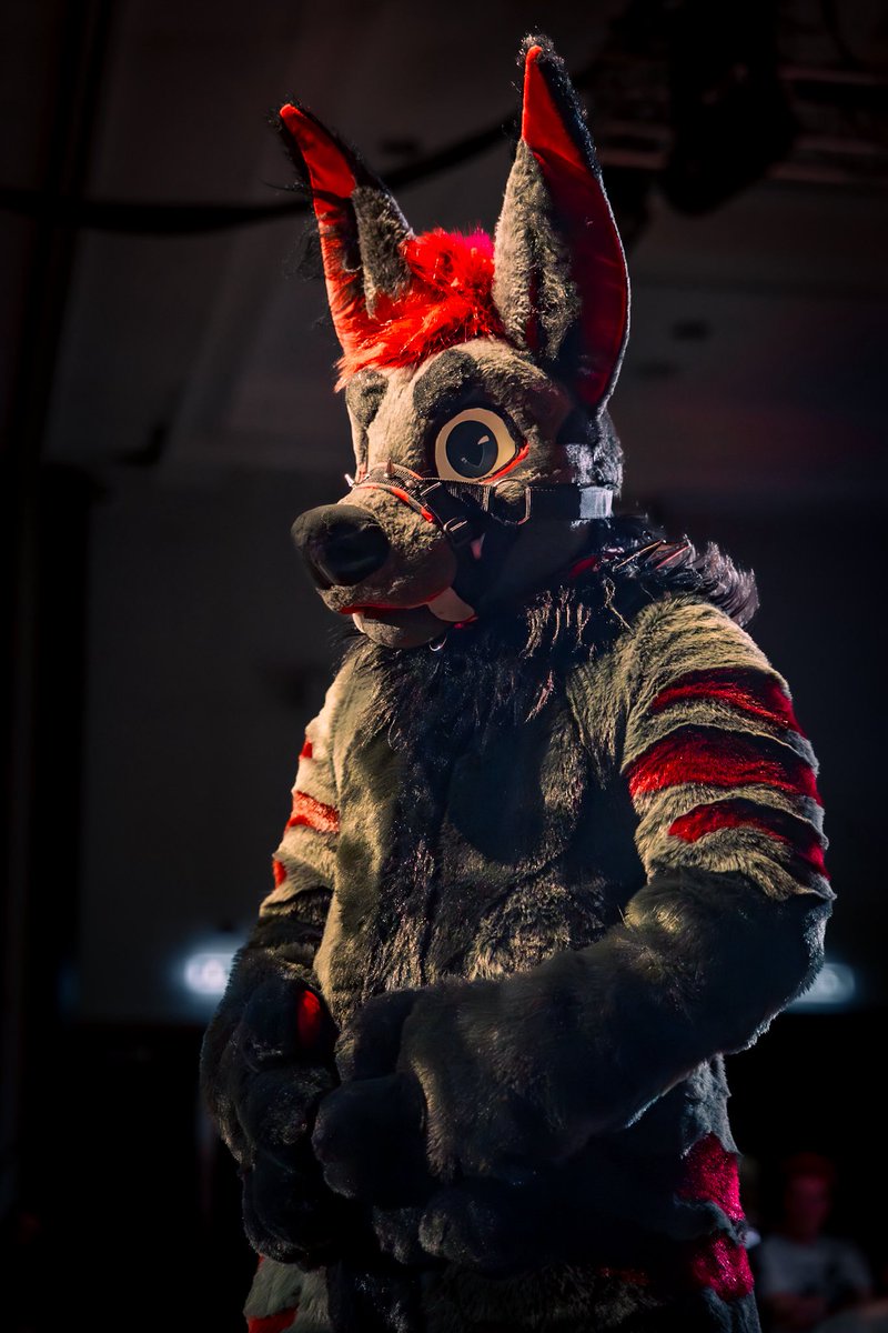 🍨Sundae🍦 🔜 CFZ tweet media