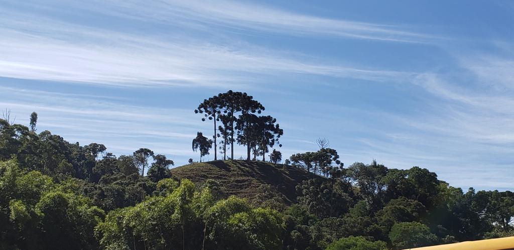 Queijo D'Alagoa-MG ® tweet media