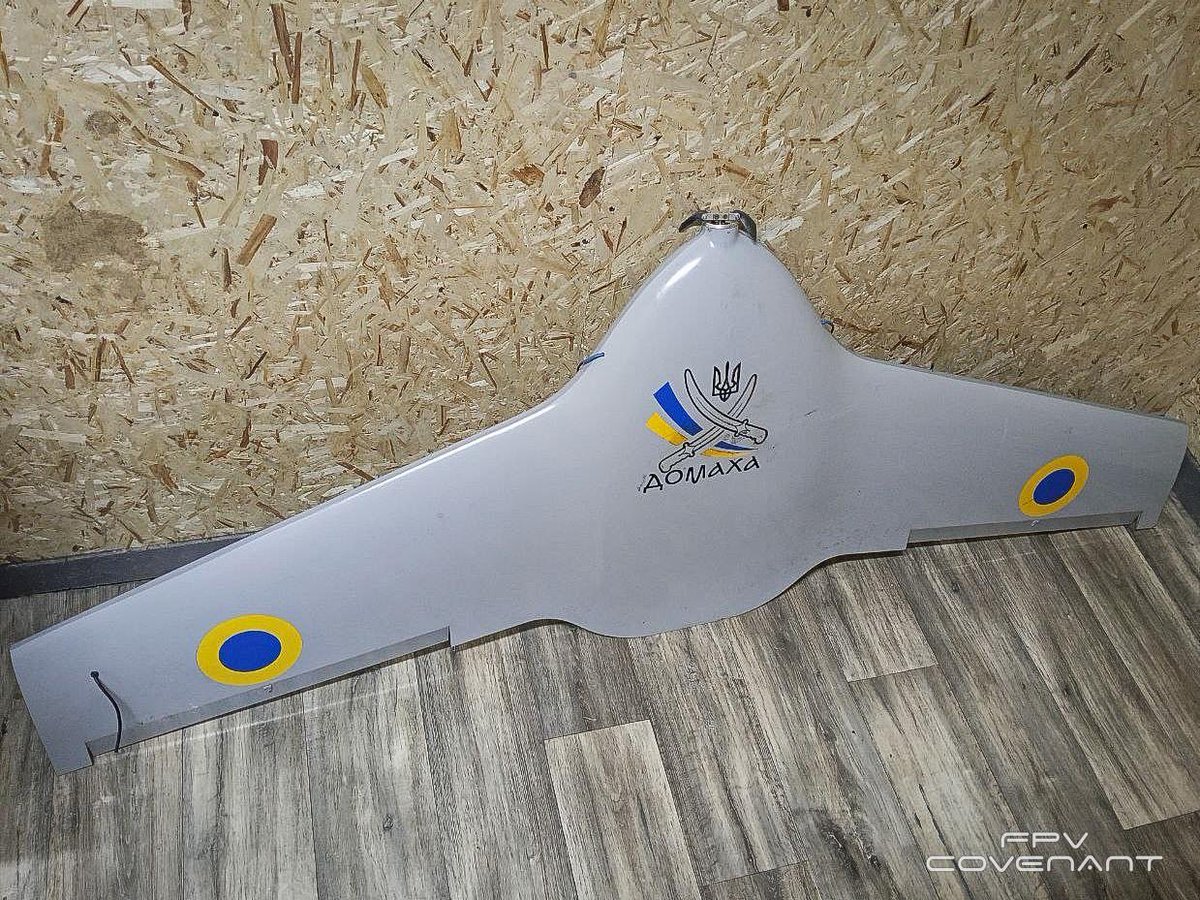 Roy🇨🇦 tweet media