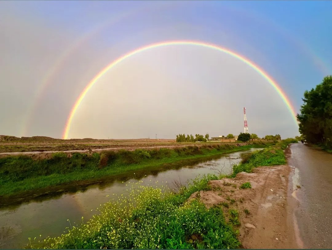 شُعَيب. tweet media