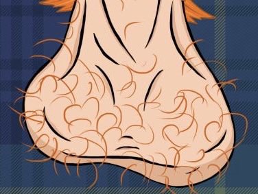 TheOrchids/ tweet media