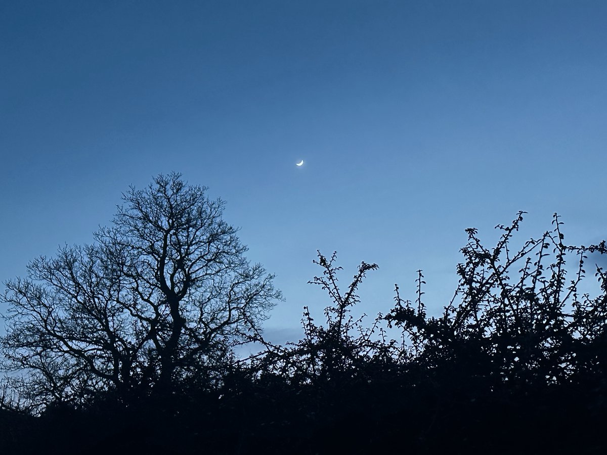 wildlife_info's tweet image. ✨ Earth Day reminds us that beauty doesn’t shout - it’s in quiet moments like this. 🌍️

A sky, a tree, a moon… and a planet worth protecting.💚 

Let’s keep it that way.  

📸 Rebekah Wilson  

#EarthDay #ProtectOurPlanet