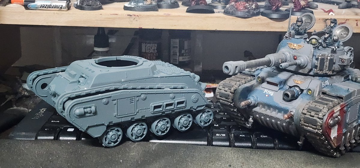 Wolfe K.Shephard tweet media