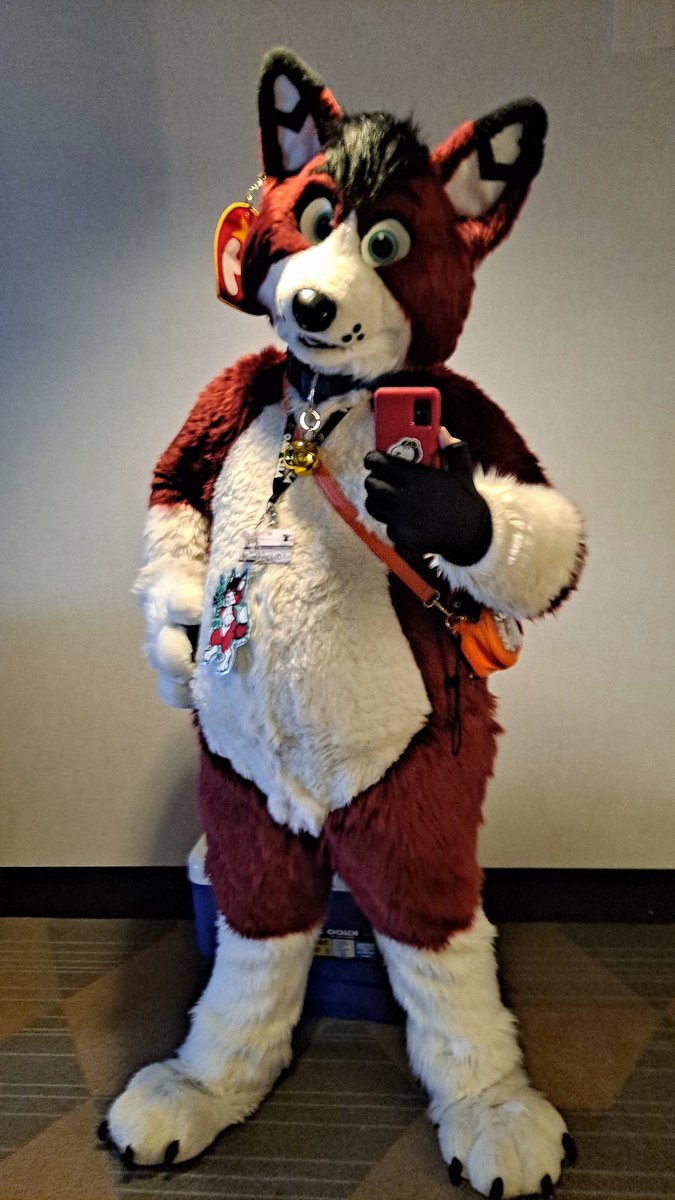 Spring Kibbins 🌺 🔜 FWA 2026 tweet media