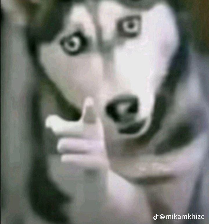 Mr Chilla The singer tweet media