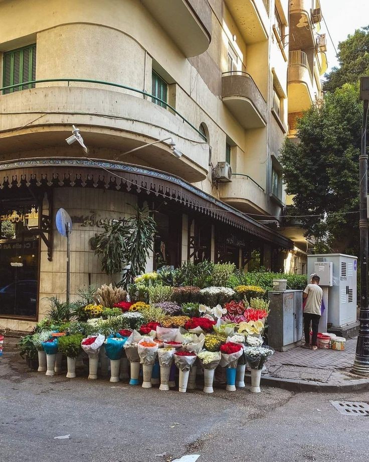 Griffin. tweet media