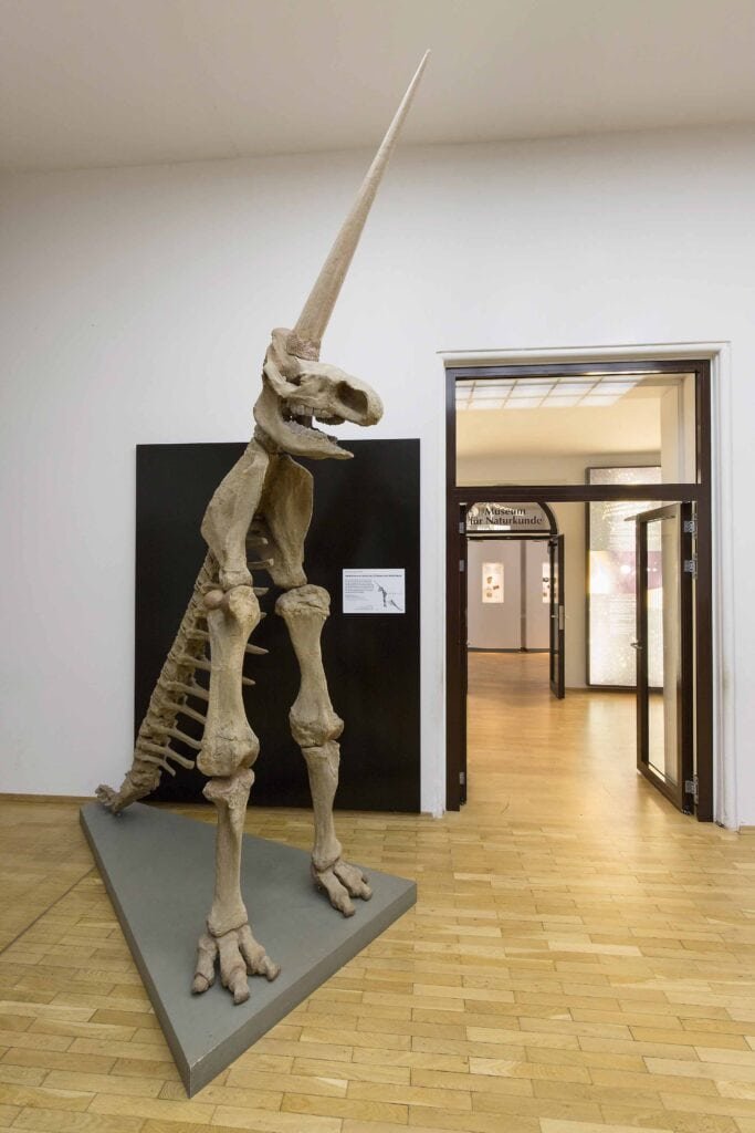 ZDF_Fan79 tweet media