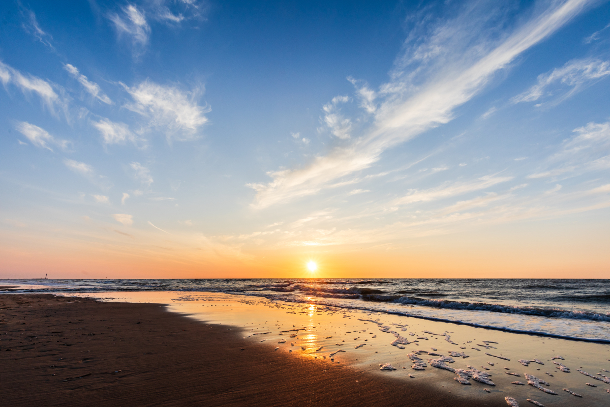 Muhammad Usman tweet media