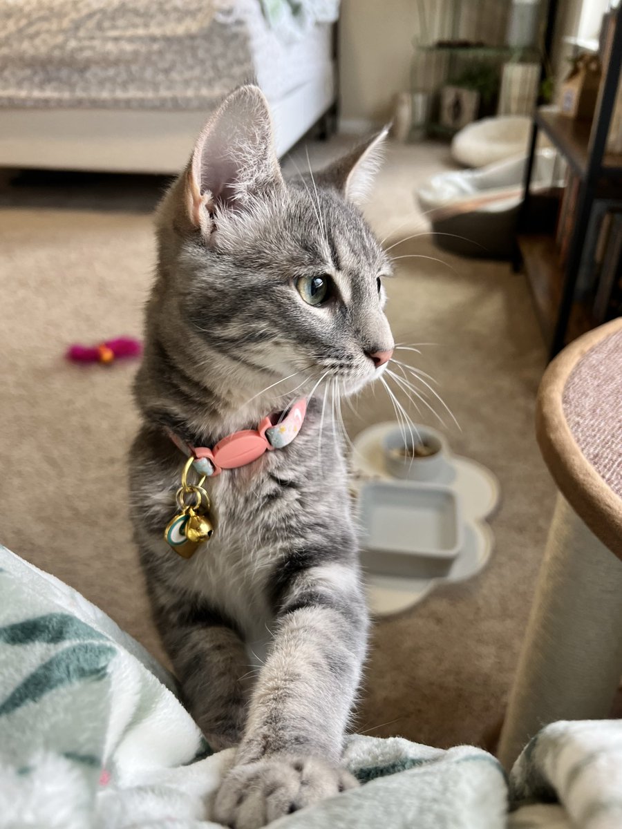 lauren (she/her) tweet media