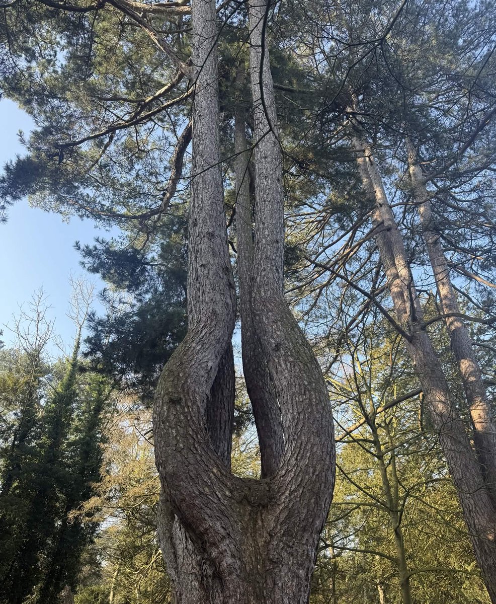 We are Mass Effect tweet media