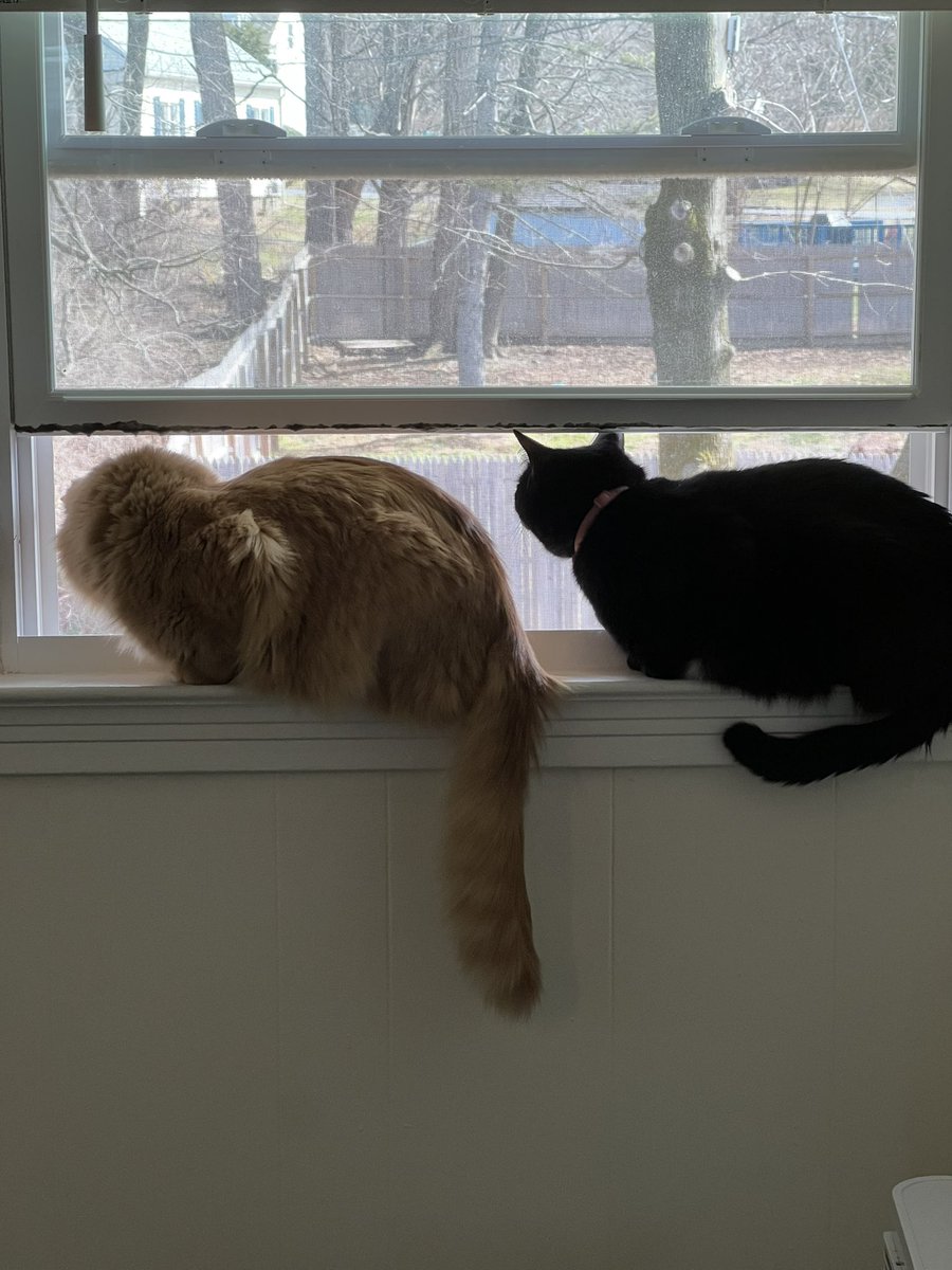 Literally Slowie tweet media