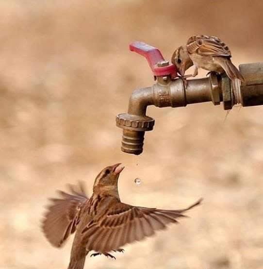 فيصل بن إبراهيم اليوسف tweet media