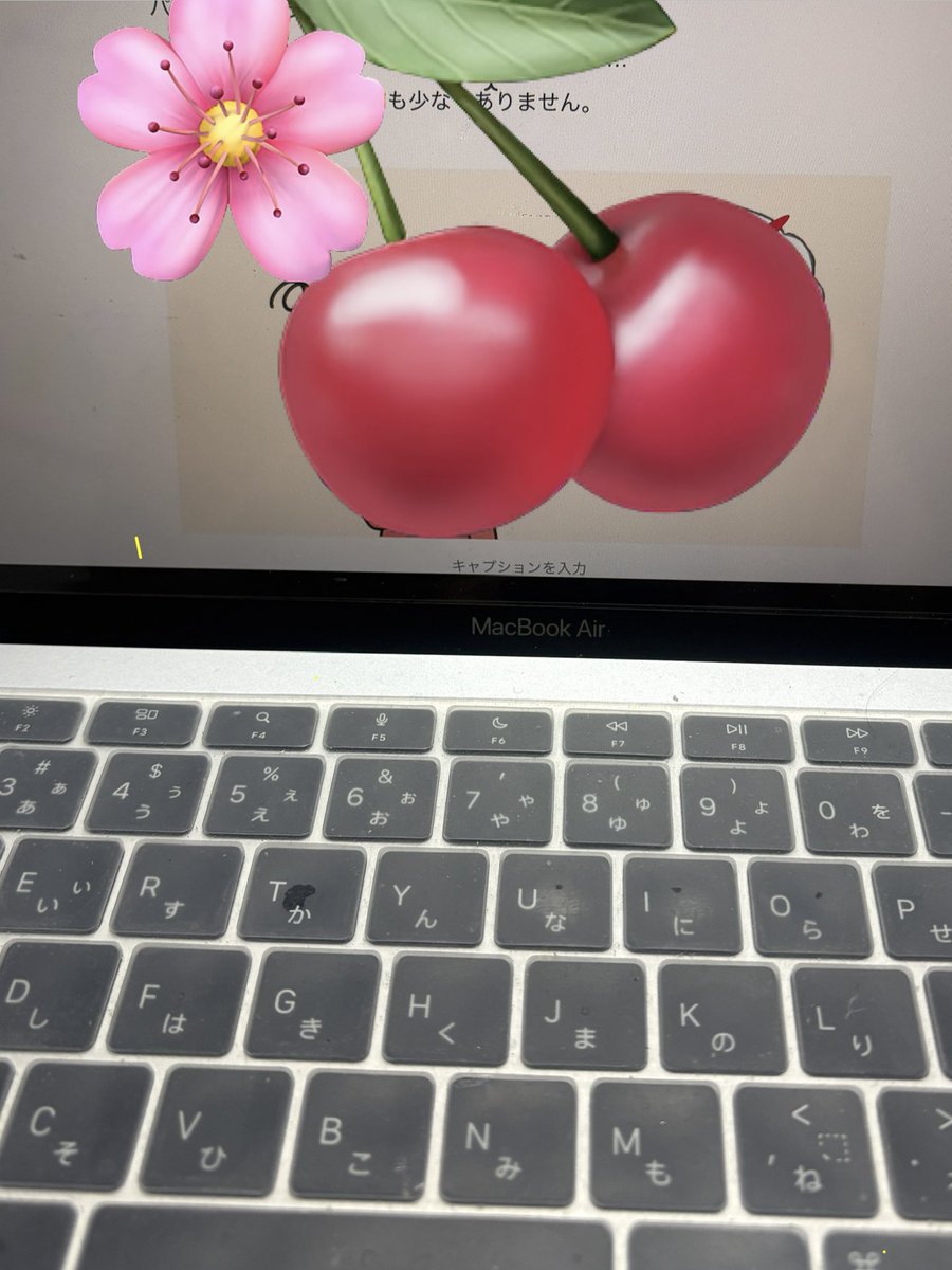 チェリ子🍒@AI×ワンオペ4児ママ隙間時間でマネタイズ tweet media