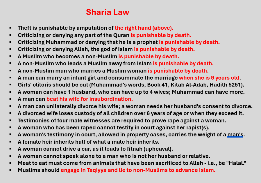 possessed_dammahum tweet media