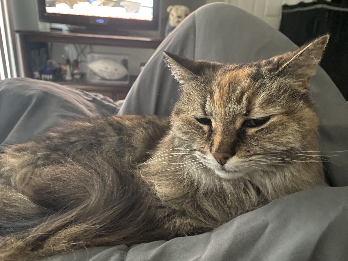 Mathieu St. Thomas 🫎 tweet media