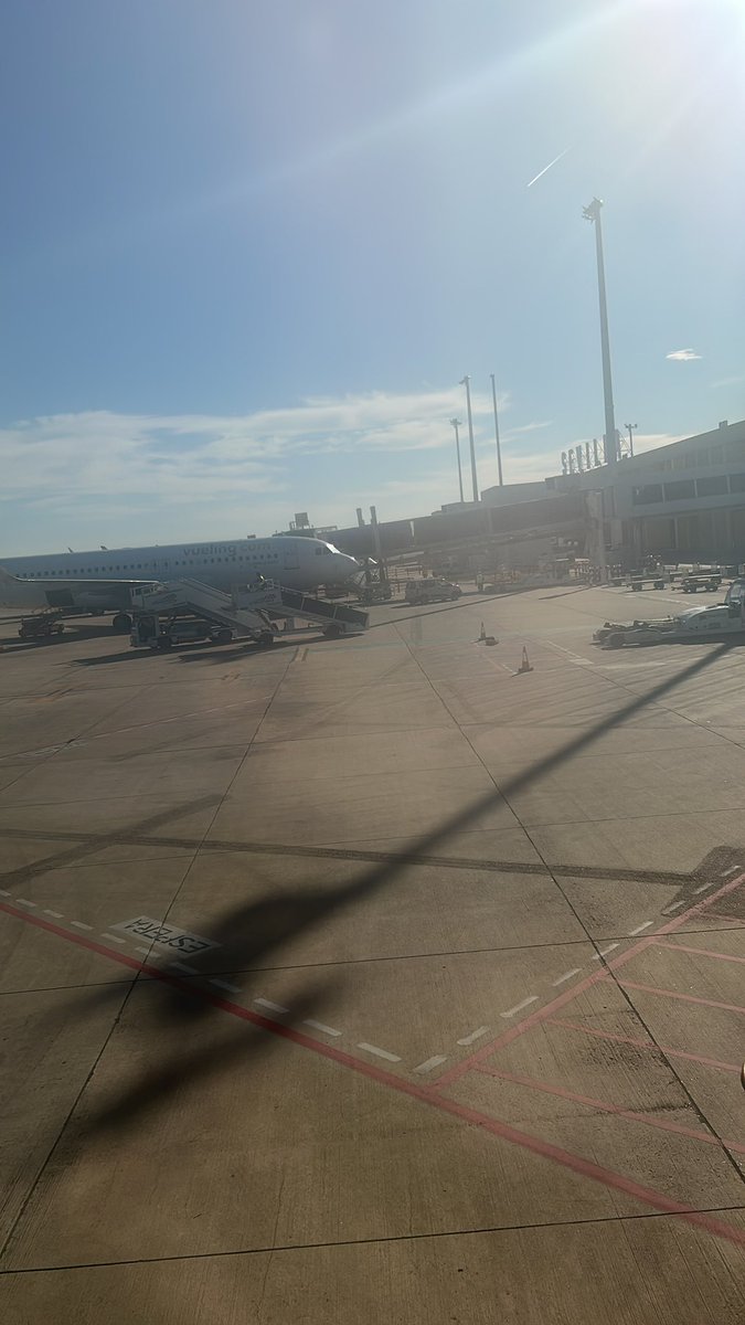 Gregory V. tweet media