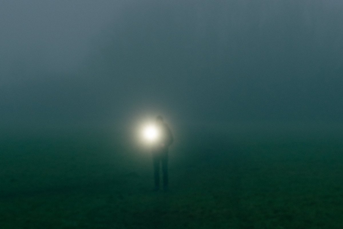 emilybakerphoto.eth tweet media