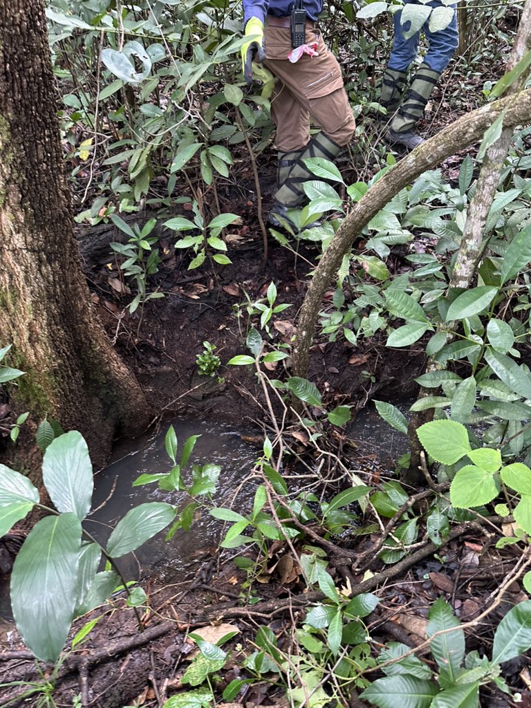 MasingeKabu's tweet photo. Whereby you have walked the Kitwe-Ndola distance in less than a week. 🙌The careers we choose for ourselves 😂have I met snakes? Yes. Have I crossed streams? Yes. Have I climbed mountains? Yes. https://t.co/NZ3g2vqeuL