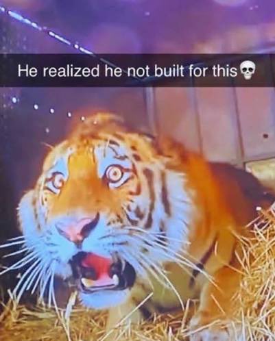 6 paths(I’m you) tweet media