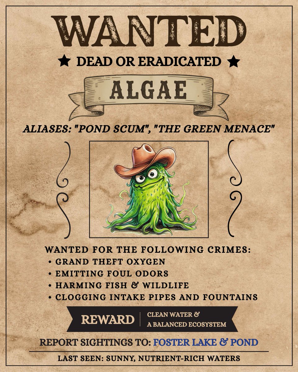 FosterLake's tweet photo. The "Green Menace" is back in town, and it’s stealing more than just the view, it’s robbing your pond of oxygen and potentially harming wildlife.

Don't let algae take over this spring. Our team is ready to restore order to your pond and get it looking its best. https://t.co/Seg22uikE9