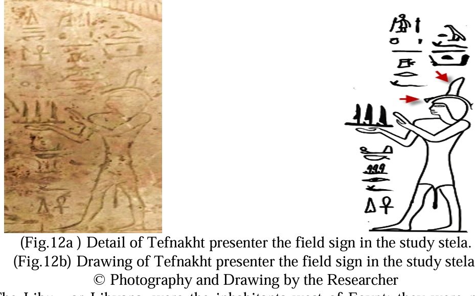 أوسركون tweet media