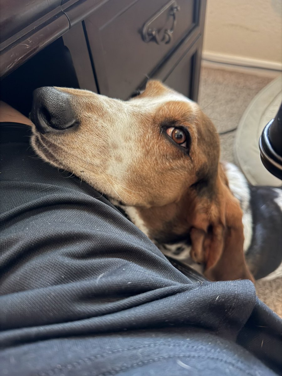 Steven ⚾️🏈 tweet media