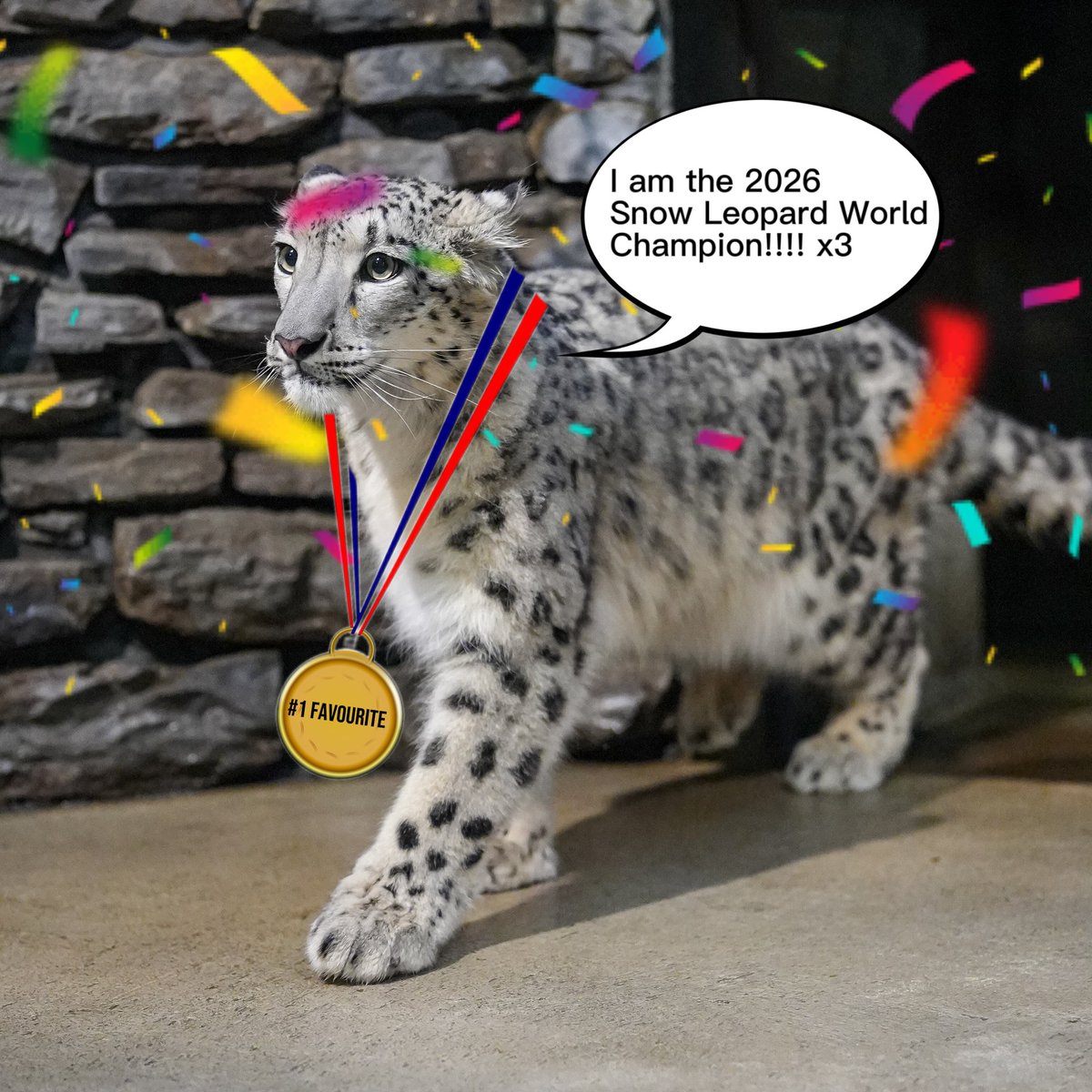 Sneplover45 tweet media