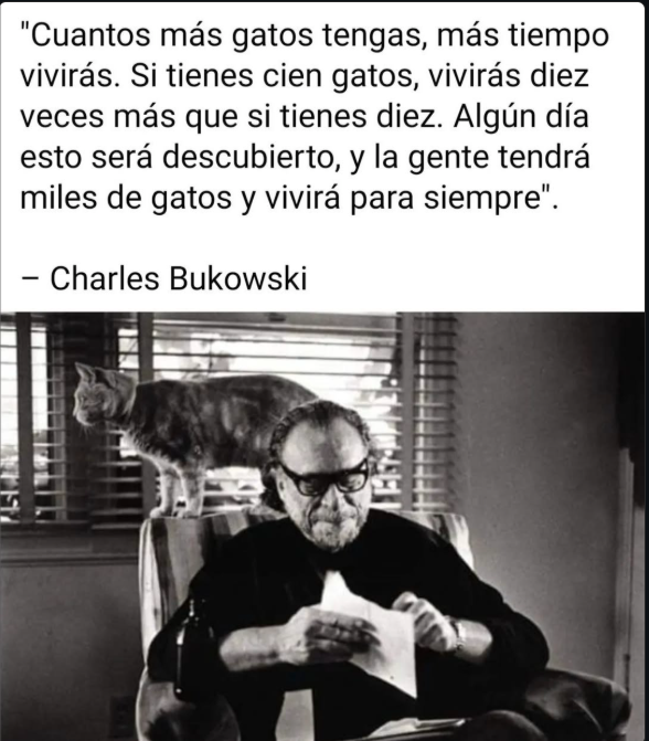 Salceda Fernández tweet media