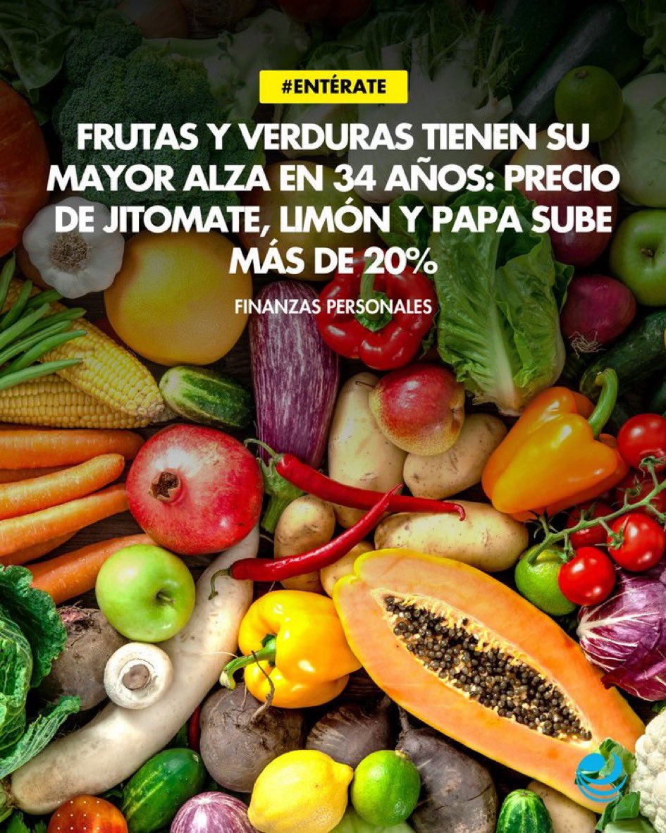 Mario Di Costanzo tweet media