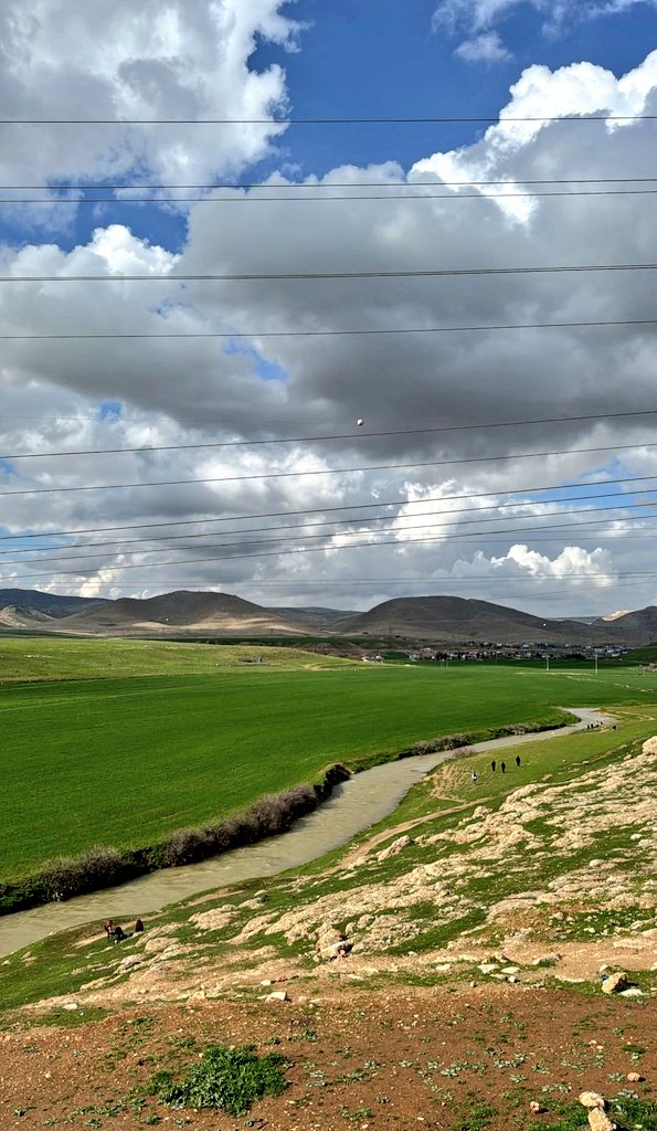 Rengokê tweet media