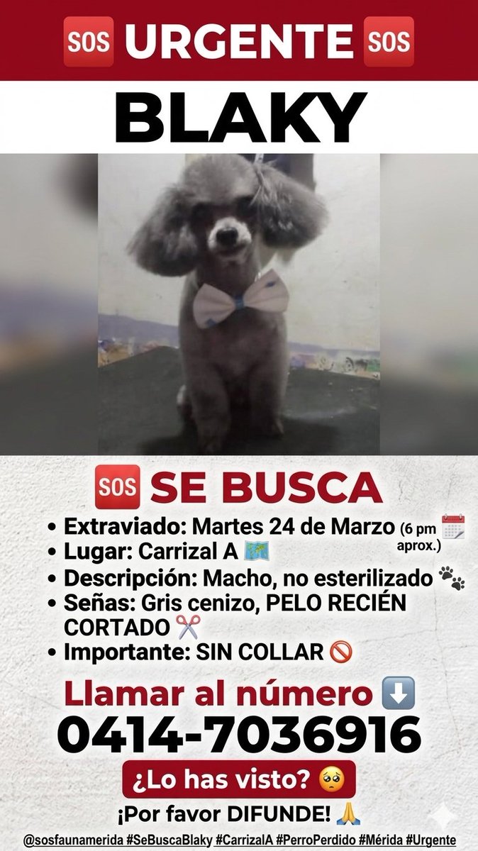 SOS Fauna Mérida tweet media