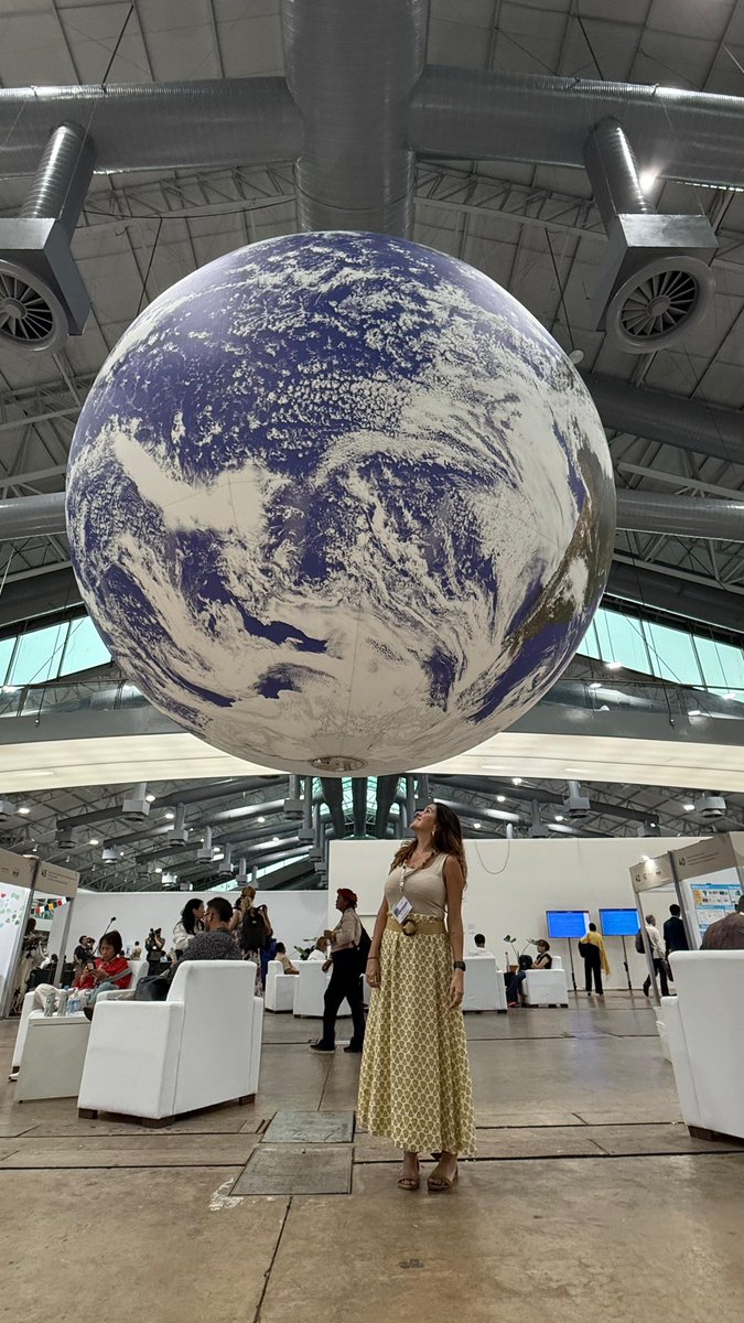 Finlândia no Brasil tweet media