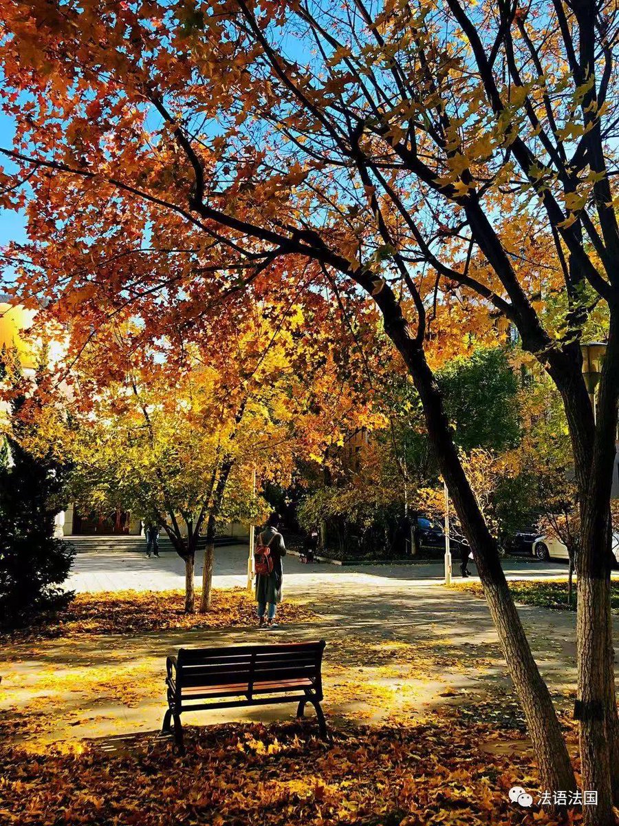 Taryn Guthrie tweet media