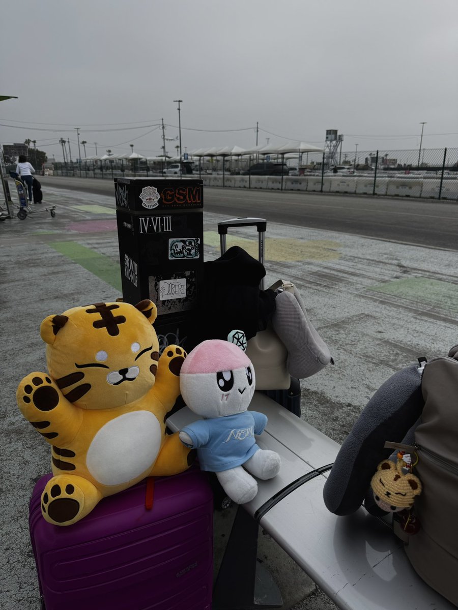 vernon loves miatot ᥫ᭡ tweet media