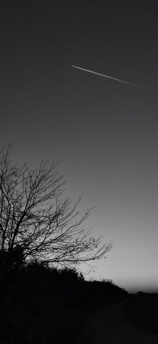 Syncopation Literary Journal tweet media