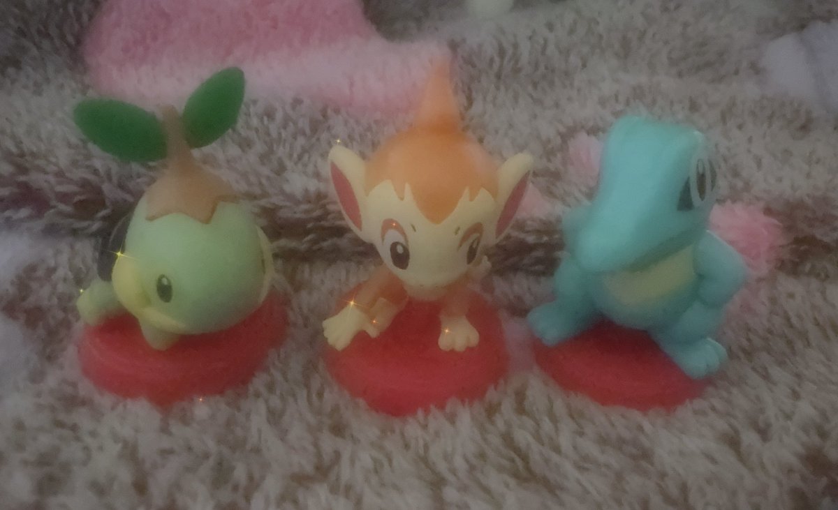 愚か者 tweet media