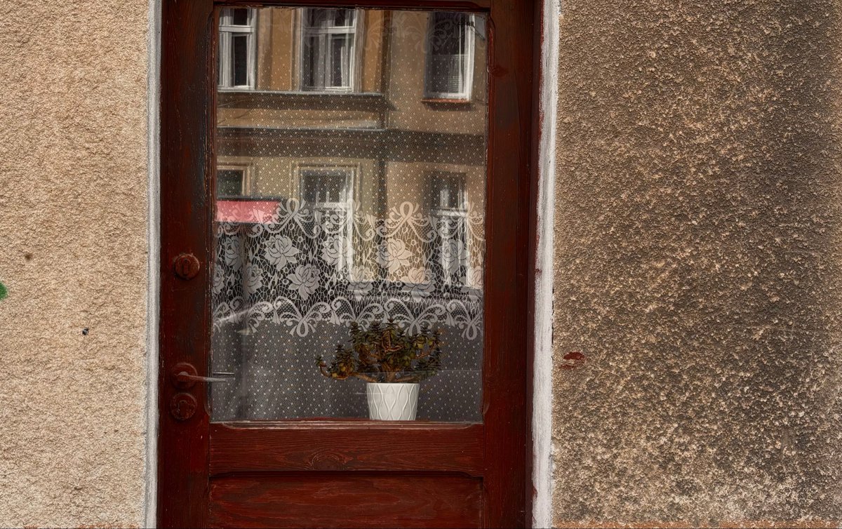 𝓅𝑜𝓁𝓁𝓎 tweet media