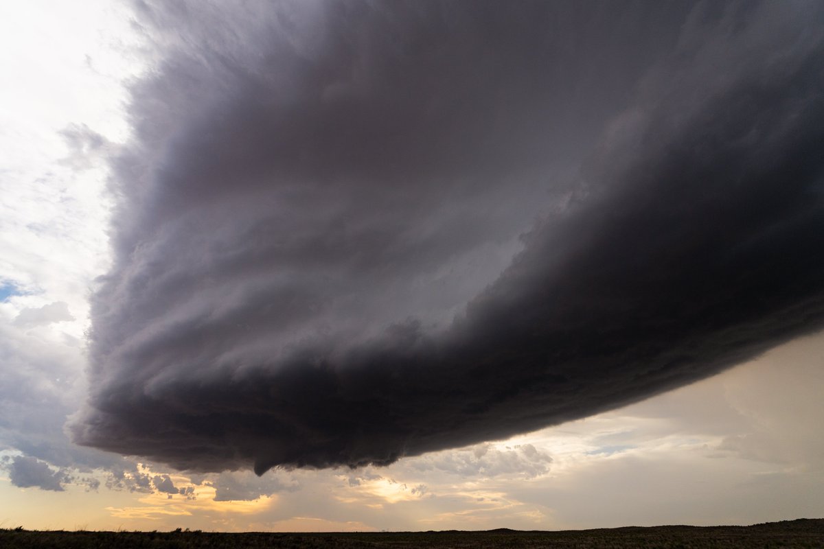 Spencer Dant 🏳️‍🌈🌪️ tweet media