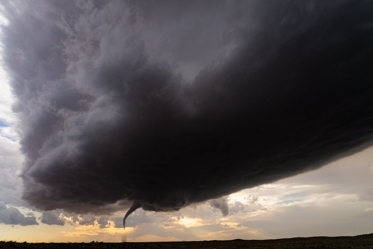 Spencer Dant 🏳️‍🌈🌪️ tweet media