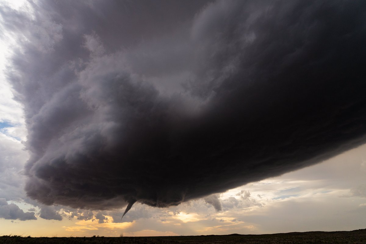 Spencer Dant 🏳️‍🌈🌪️ tweet media