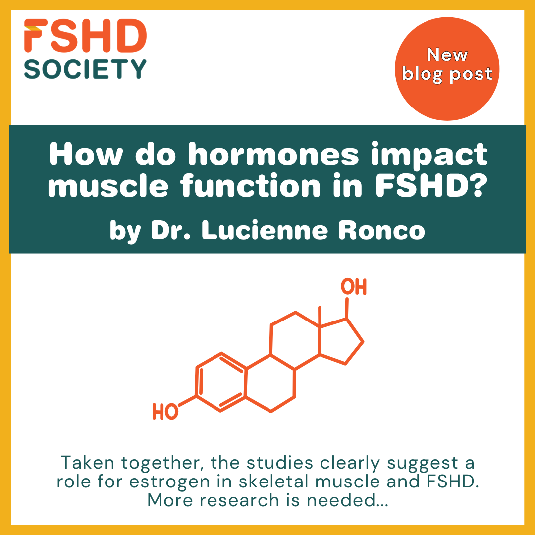 FSHDSociety's tweet photo. New on the blog: an overview of how hormones - estrogen, specifically - impact muscle function in FSHD. Dr. Lucienne Ronco reviews four recent studies. 
Read her analysis here: https://t.co/axSD0XsruH

#FSHD #FSHDResearch https://t.co/JPFMDtrJ5W
